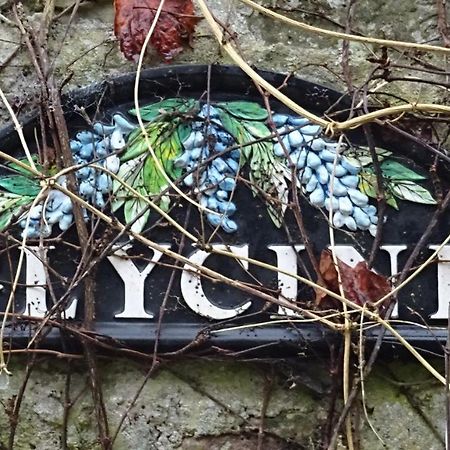 דירות Juvigny-Val-d'Andaine Le Glycine A Manoir Sainte Cecile מראה חיצוני תמונה