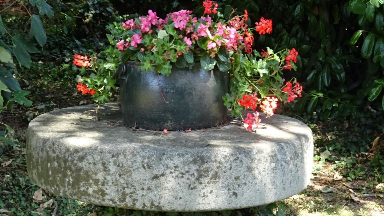 דירות Juvigny-Val-d'Andaine Le Glycine A Manoir Sainte Cecile מראה חיצוני תמונה